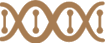 Jornada Ortomolecular
